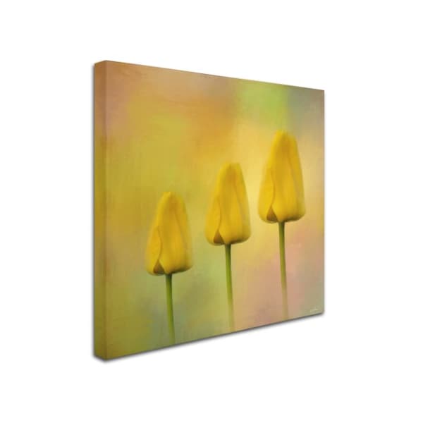 Jai Johnson 'Triplets' Canvas Art,14x14